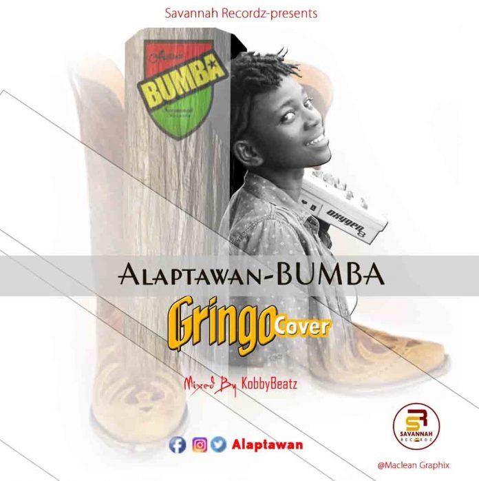 Alaptawan - Bumba (Art 1) (Gringo Cover)