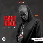 Can’t-Cool-By-Amie–Art