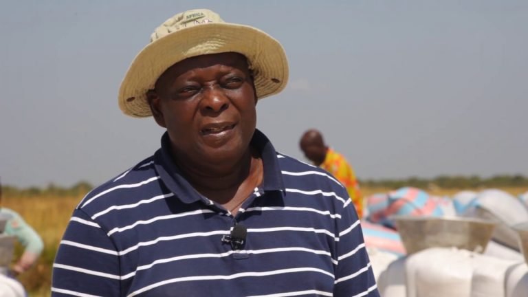 [Video] Inspirational; Former Defense Minister cum Navrongo Centrap MP ventures into Farming.