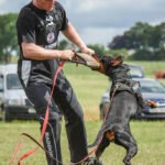 A-Helper-and-his-Dobermann-(Source—aritaur)