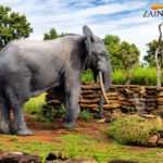 Sights-at-Zaina-Lodge