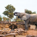 The-beauties-at-Zaina-Lodge