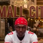 Small-City—B-Wayne-21